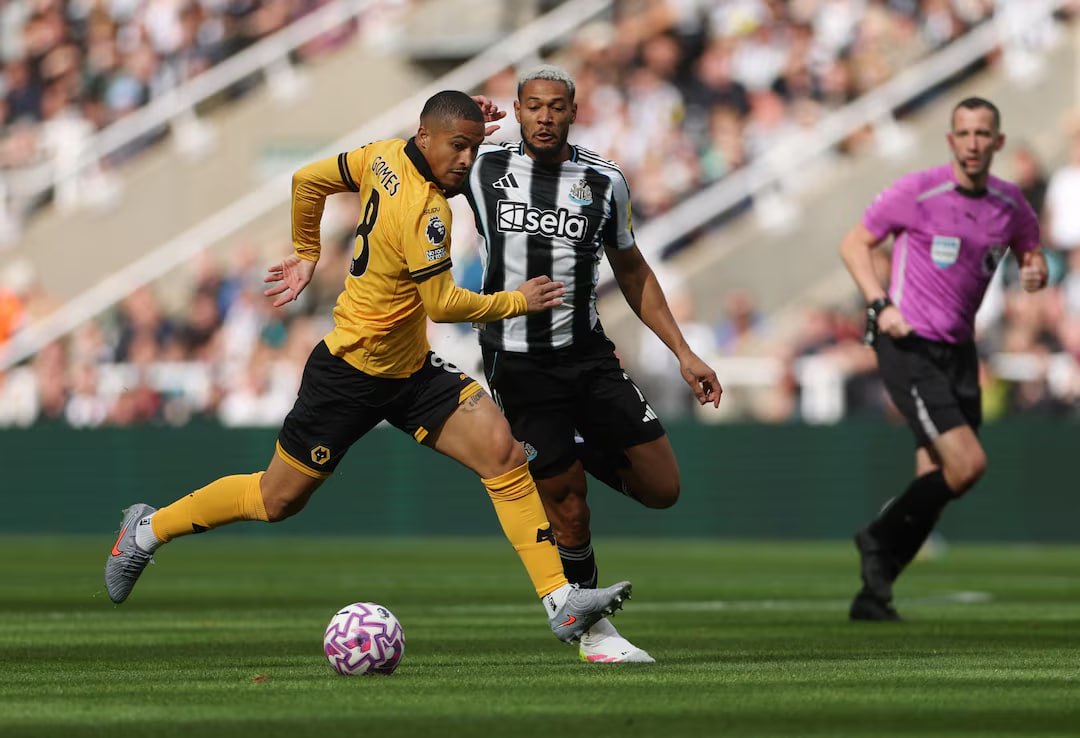 Newcastle United vs Wolverhampton (21:00 – 13/09) | Xem lại trận đấu